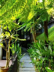 Leedon Park (D10), Terrace #455673471